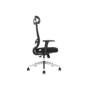 Modern Furniture Ergo Human Chair D-S2-BH2