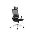 Modern Furniture Ergo Human Chair D-S2-BH2