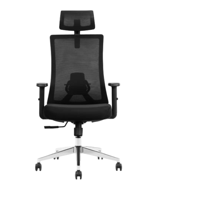 Modern Furniture Ergo Human Chair GK9-BH-12-01