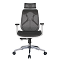 Modern Furniture Ergo Human Medical Chair S-06