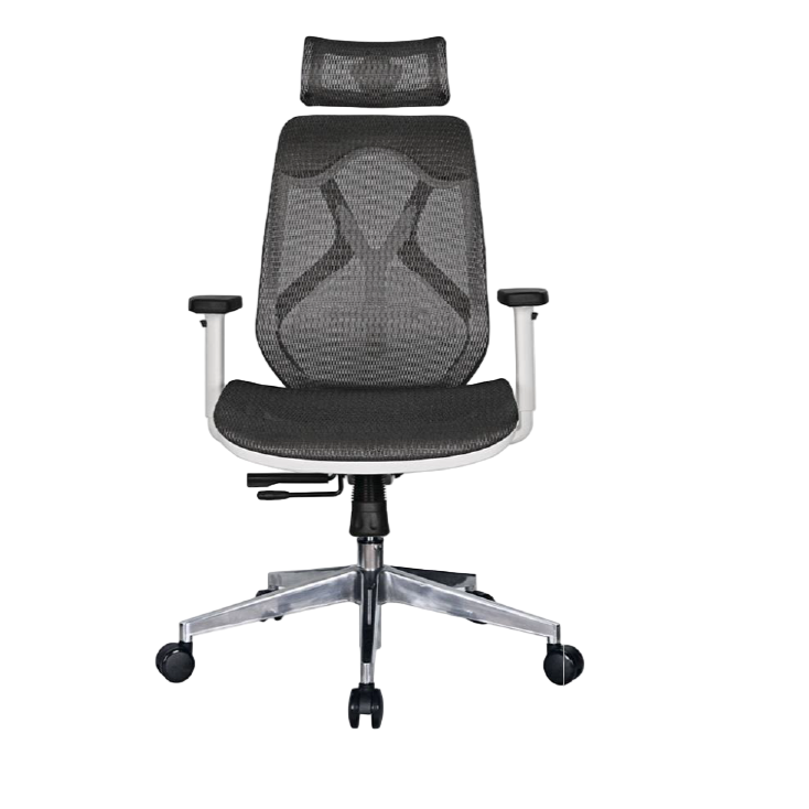 Modern Furniture Ergo Human Medical Chair S-06