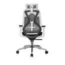 Modern Furniture Ergo Human Medical Chair S-06