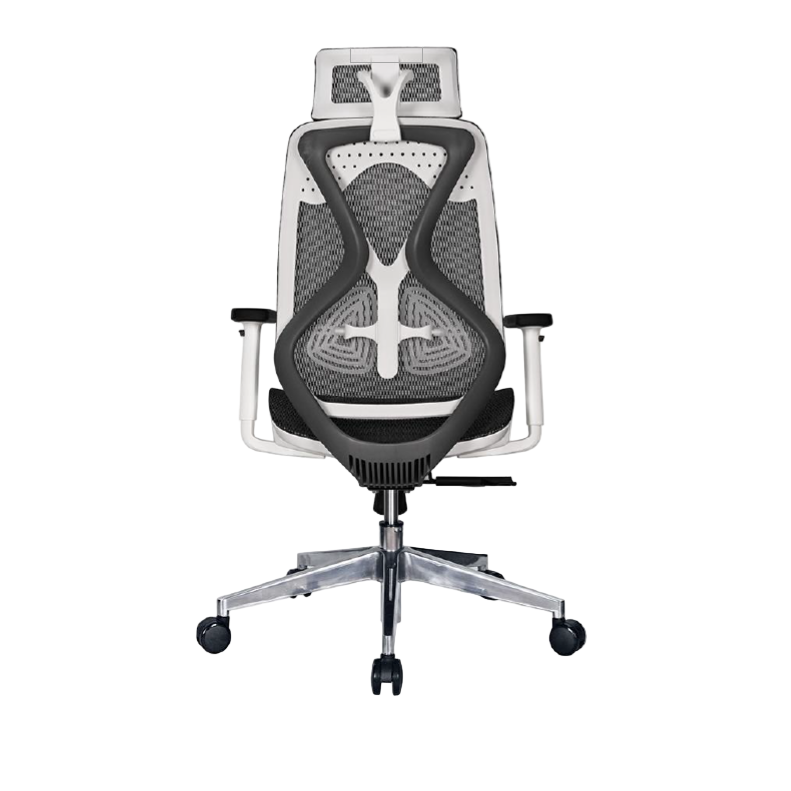 Modern Furniture Ergo Human Medical Chair S-06
