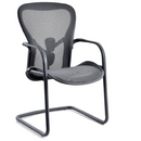 Modern Furniture Ergo Human Chair A66VB