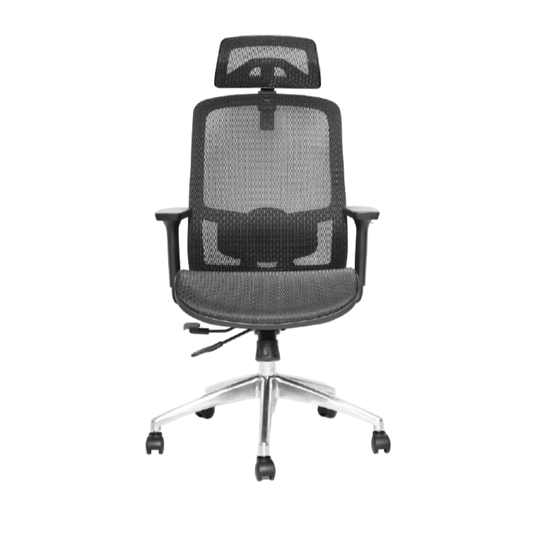 Modern Furniture Ergo Human Medical Chair 8957as