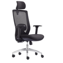 Modern Furniture Ergo Human Executive Medical Chair A-01