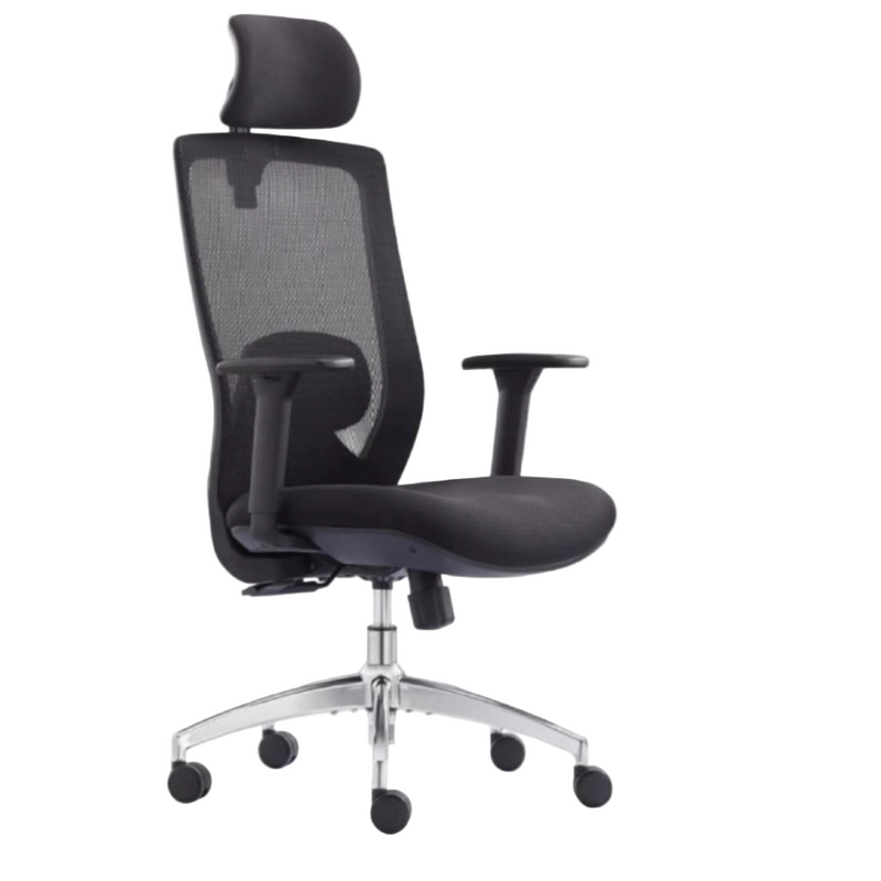 Modern Furniture Ergo Human Executive Medical Chair A-01