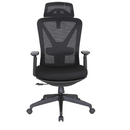 Modern Furniture Ergo Human Medical Chair 8932-AS