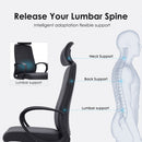 Modern Furniture Ergo Chair MY-1