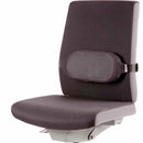 وسادة أسفل الظهر من Fellowes I-Spire Series™ - باللون الأسود